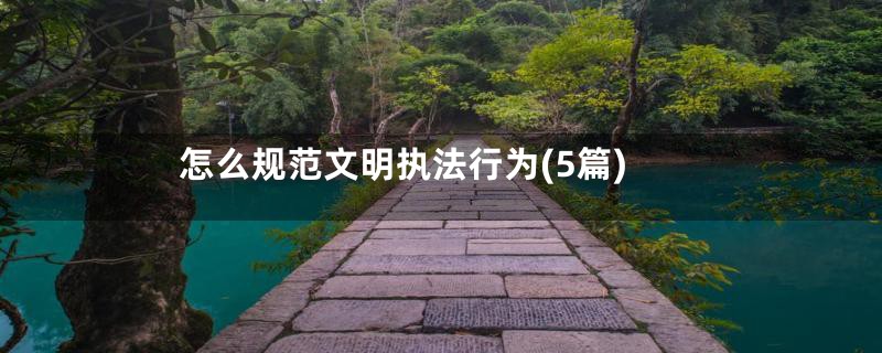 怎么规范文明执法行为(5篇)
