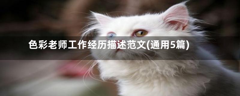 色彩老师工作经历描述范文(通用5篇)