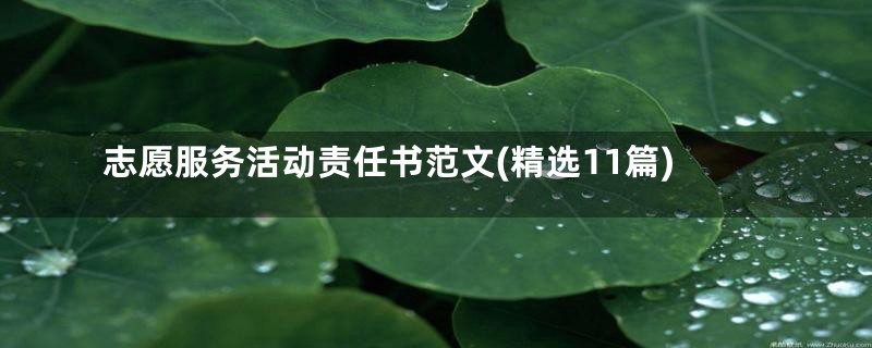 志愿服务活动责任书范文(精选11篇)