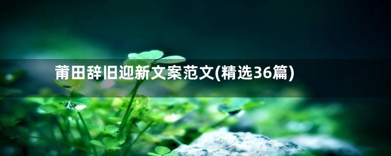 莆田辞旧迎新文案范文(精选36篇)