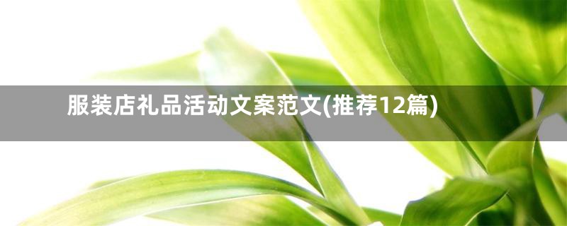 服装店礼品活动文案范文(推荐12篇)