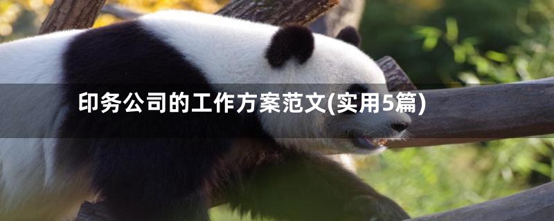印务公司的工作方案范文(实用5篇)