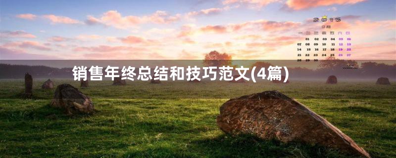 销售年终总结和技巧范文(4篇)