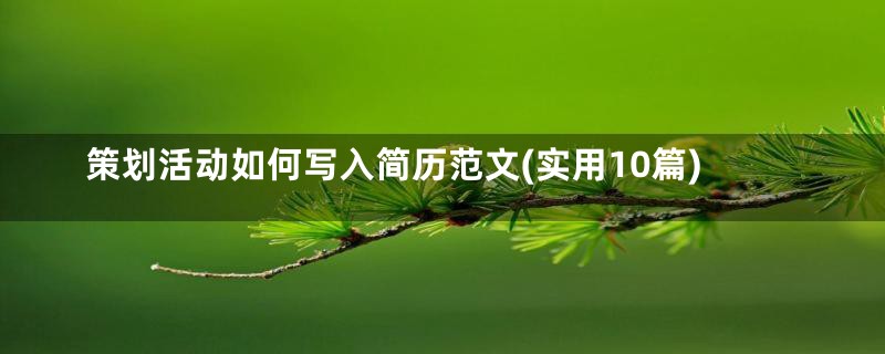 策划活动如何写入简历范文(实用10篇)