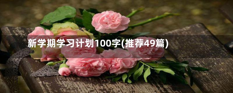 新学期学习计划100字(推荐49篇)