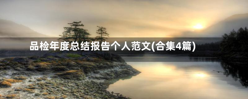 品检年度总结报告个人范文(合集4篇)