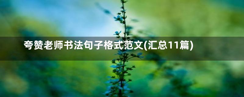 夸赞老师书法句子格式范文(汇总11篇)