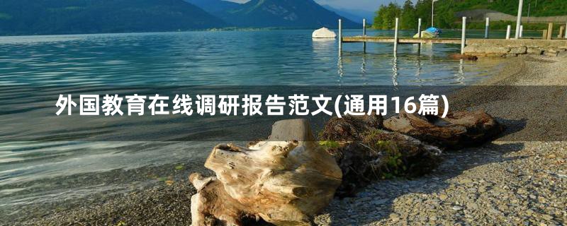 外国教育在线调研报告范文(通用16篇)