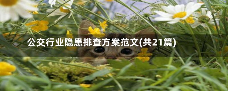 公交行业隐患排查方案范文(共21篇)