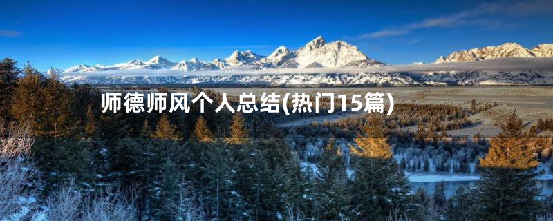 师德师风个人总结(热门15篇)