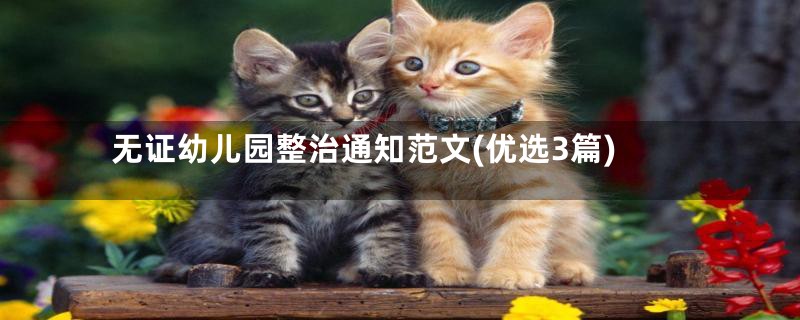 无证幼儿园整治通知范文(优选3篇)
