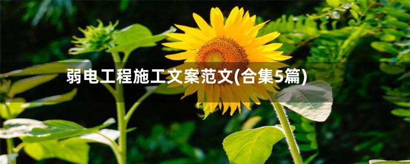 弱电工程施工文案范文(合集5篇)