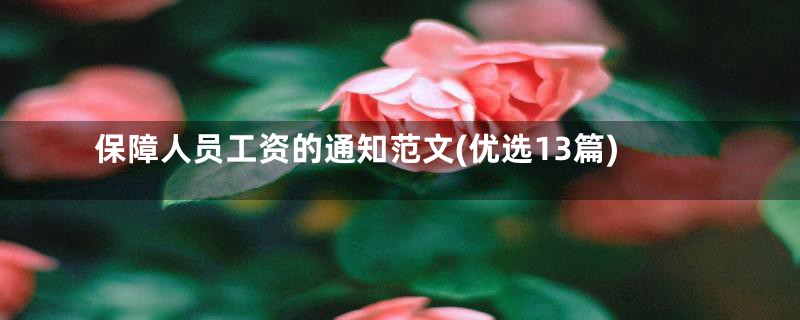 保障人员工资的通知范文(优选13篇)