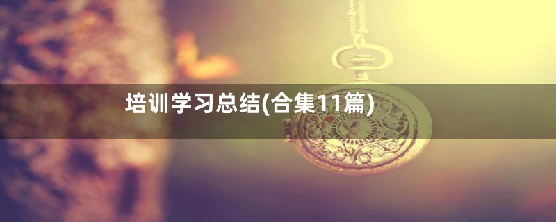 培训学习总结(合集11篇)