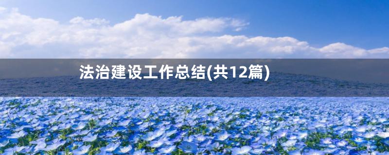 法治建设工作总结(共12篇)