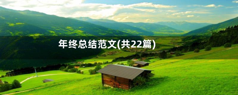 年终总结范文(共22篇)