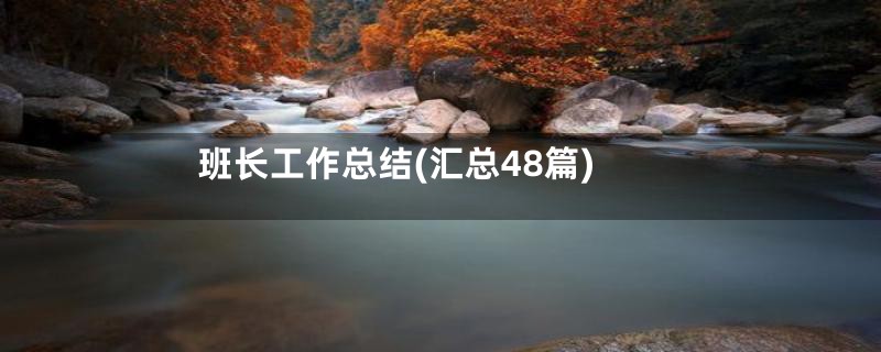 班长工作总结(汇总48篇)