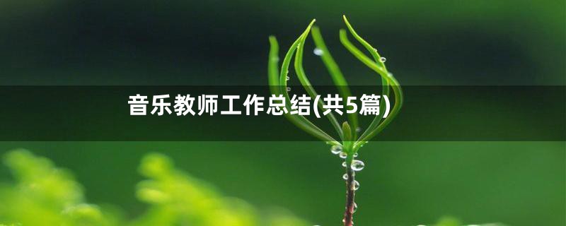 音乐教师工作总结(共5篇)