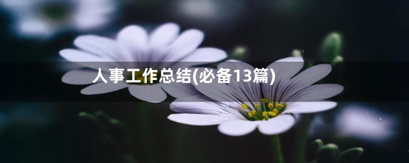 人事工作总结(必备13篇)