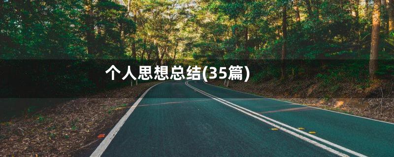 个人思想总结(35篇)