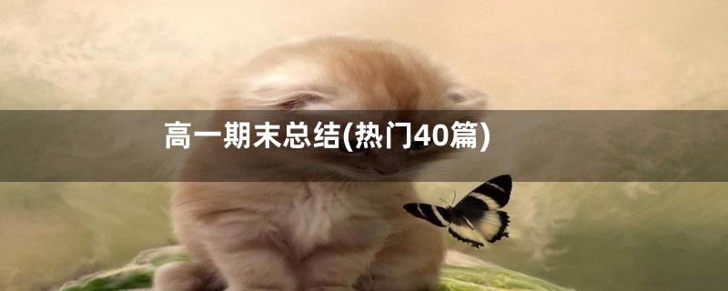 高一期末总结(热门40篇)