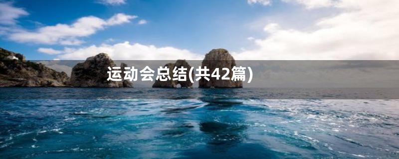 运动会总结(共42篇)