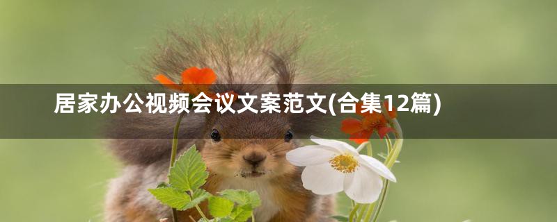 居家办公视频会议文案范文(合集12篇)
