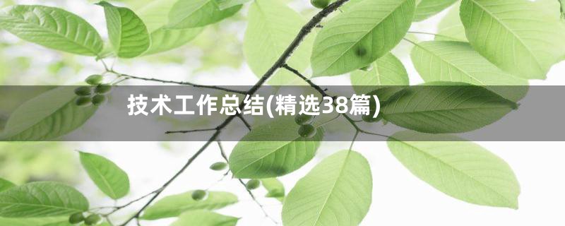 技术工作总结(精选38篇)