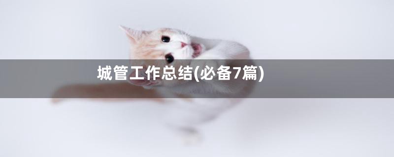 城管工作总结(必备7篇)