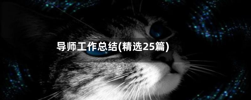 导师工作总结(精选25篇)