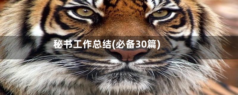 秘书工作总结(必备30篇)