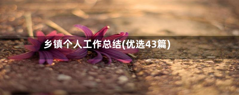 乡镇个人工作总结(优选43篇)