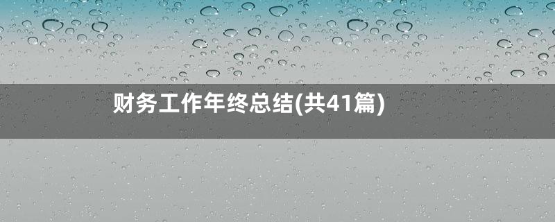 财务工作年终总结(共41篇)