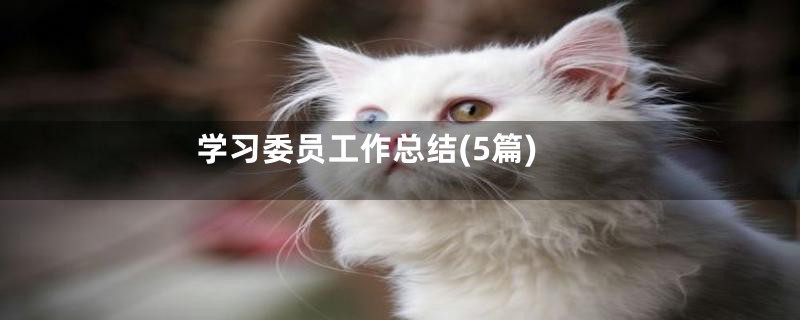 学习委员工作总结(5篇)