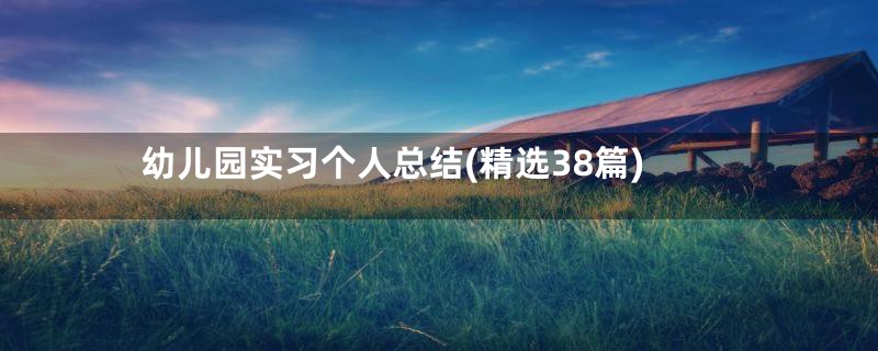 幼儿园实习个人总结(精选38篇)
