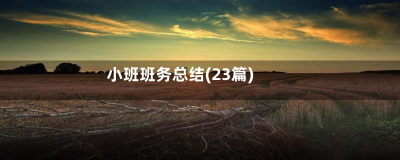 小班班务总结(23篇)