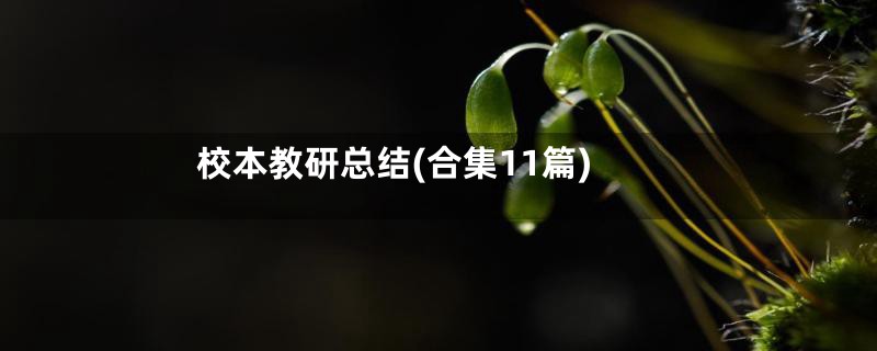 校本教研总结(合集11篇)