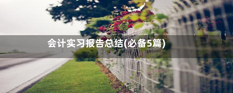 会计实习报告总结(必备5篇)