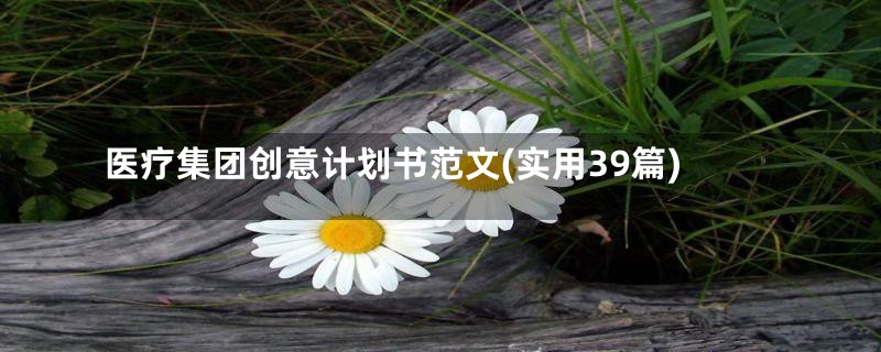 医疗集团创意计划书范文(实用39篇)