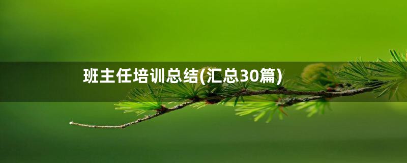 班主任培训总结(汇总30篇)