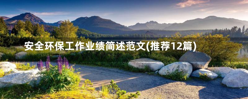 安全环保工作业绩简述范文(推荐12篇)